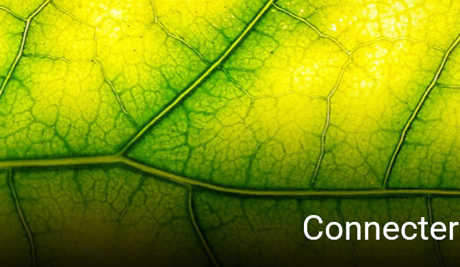 Realisations BBC connecter